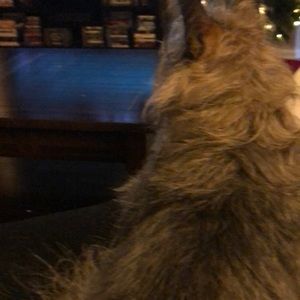 Meet your Posher, Leasa